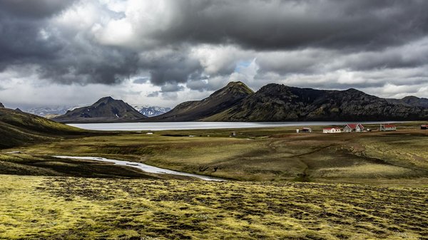 Thérapies alternatives pour la tuberculose : fait ou fiction?